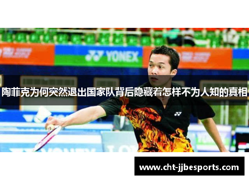 陶菲克为何突然退出国家队背后隐藏着怎样不为人知的真相